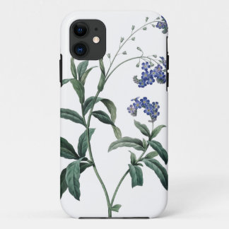 Botanische Illustration des Vergissmeinnichts von iPhone 11 Hülle
