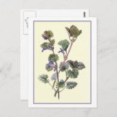 Botanische Illustration "Ground Ivy" Postkarte (Vorne/Hinten)