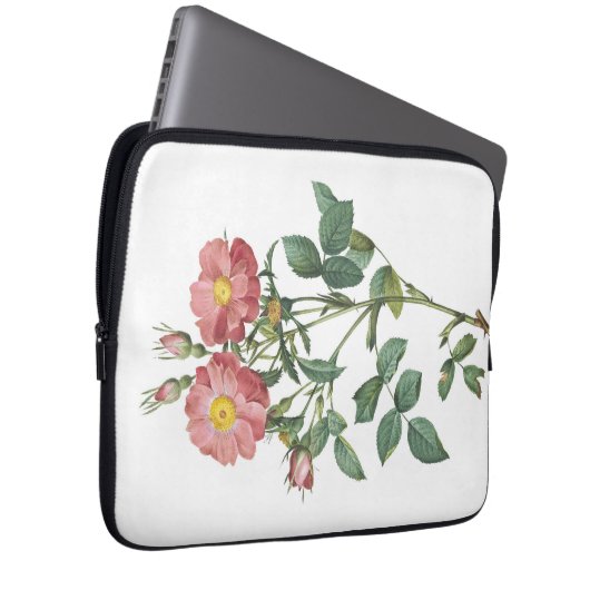 Botanische Illustration Laptopschutzhülle (Vorne Rechts)