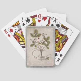 Botanische Illustration Playing Cards Erdbeere Spielkarten