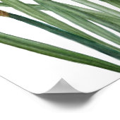 Botanische Illustration Poster (Ecke)