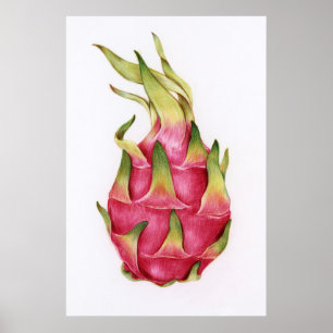 Botanische Illustration Poster