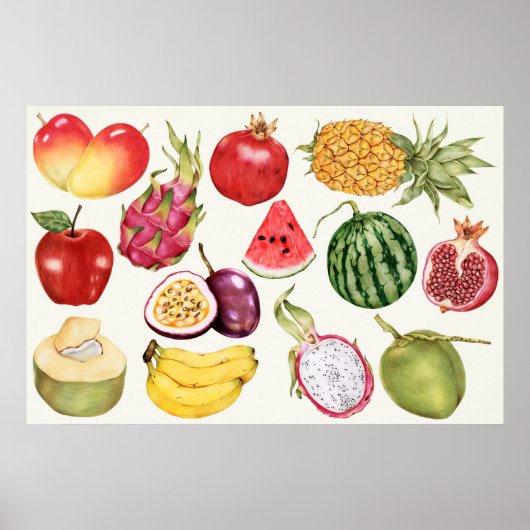 Botanische Illustration Poster (Vorne)