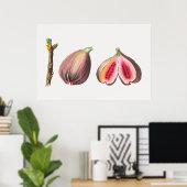 Botanische Illustration Poster (Heimbüro)