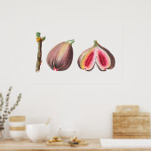 Botanische Illustration Poster (Küche)