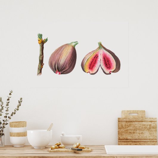 Botanische Illustration Poster (Küche)