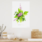Botanische Illustration Poster (Küche)