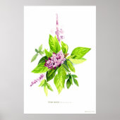 Botanische Illustration Poster (Vorne)