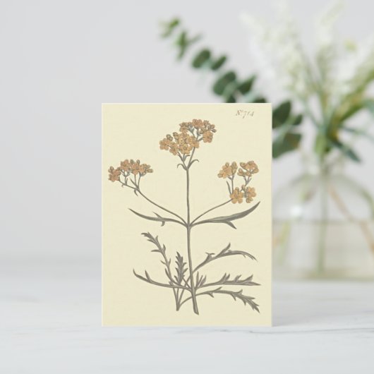Botanische Illustration Postkarte (Stehend Vorderseite)