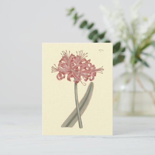 Botanische Illustration Postkarte (Stehend Vorderseite)