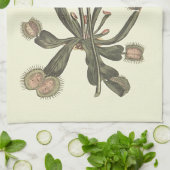 Botanische Illustration Venus Flytrap Küchentuch (Gefaltet)