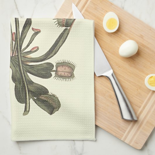 Botanische Illustration Venus Flytrap Küchentuch (Viertel Falte)