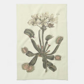 Botanische Illustration Venus Flytrap Küchentuch (Vertikal)