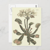Botanische Illustration Venus Flytrap Postkarte (Vorne/Hinten)