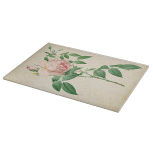 Botanische Illustration von Rosa indica fragrans Schneidebrett