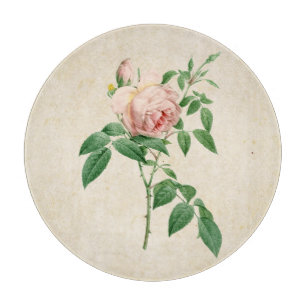 Botanische Illustration von Rosa indica fragrans Schneidebrett
