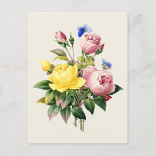 Botanische Illustration von Vintage-Rosen Postkarte