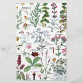 Botanische Illustrationen Briefpapier (Vorderseite)
