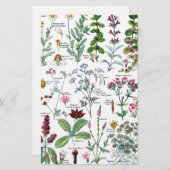 Botanische Illustrationen Briefpapier (Vorne/Hinten)