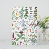 Botanische Illustrationen Briefpapier (Stehend Vorderseite)