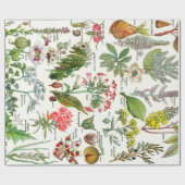 Botanische Illustrationen Geschenkpapier (Flach)