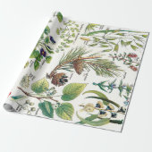 Botanische Illustrationen Geschenkpapier (Ungerollt)