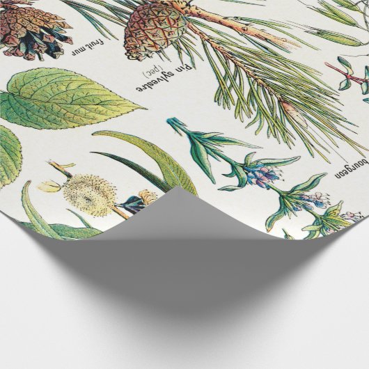 Botanische Illustrationen Geschenkpapier (Ecke)