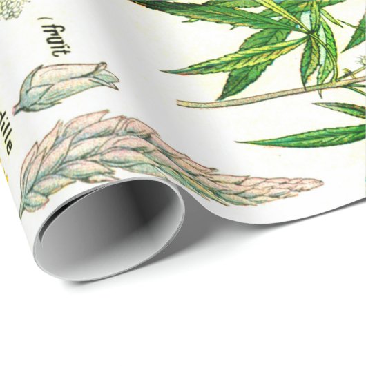 Botanische Illustrationen Geschenkpapier (Rolleneckpunkt)