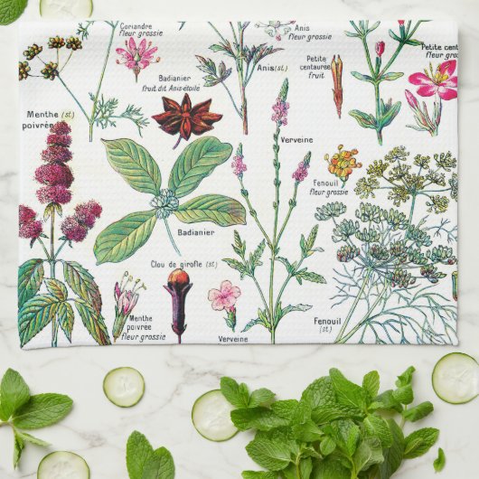 Botanische Illustrationen Geschirrtuch (Gefaltet)