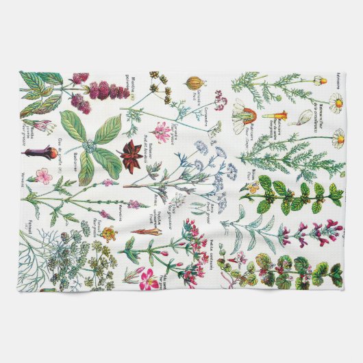 Botanische Illustrationen Geschirrtuch (Horizontal)