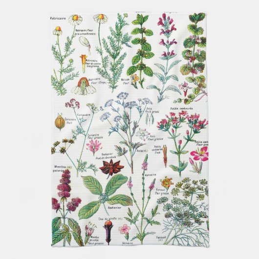 Botanische Illustrationen Geschirrtuch (Vertikal)