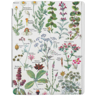 Botanische Illustrationen iPad Hülle