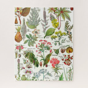 Botanische Illustrationen Jigsaw Puzzle