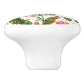 Botanische Illustrationen Keramikknauf (Seitenansicht)