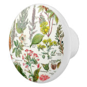 Botanische Illustrationen Keramikknauf (Rechts)