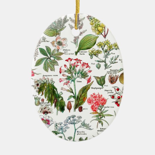 Botanische Illustrationen Keramikornament (Vorne)