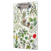 Botanische Illustrationen - Larousse Pflanzen Klemmbrett (Links)