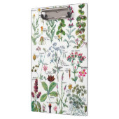 Botanische Illustrationen - Larousse Pflanzen Klemmbrett (Links)