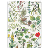 Botanische Illustrationen - Larousse Pflanzen Klemmbrett (Rückseite)