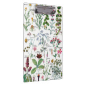 Botanische Illustrationen - Larousse Pflanzen Klemmbrett (Rechts)