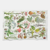 Botanische Illustrationen - Larousse Pflanzen Küchentuch (Horizontal)
