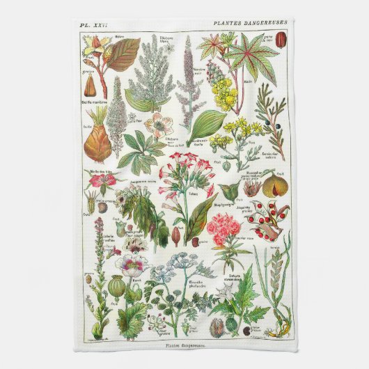 Botanische Illustrationen - Larousse Pflanzen Küchentuch (Vertikal)