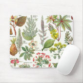 Botanische Illustrationen - Larousse Pflanzen Mousepad (Mit Mouse)