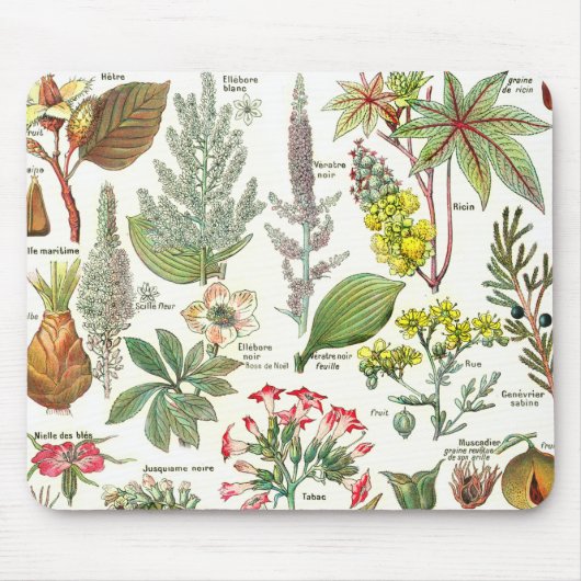 Botanische Illustrationen - Larousse Pflanzen Mousepad (Vorne)