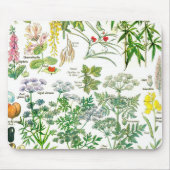 Botanische Illustrationen - Larousse Pflanzen Mousepad (Vorne)