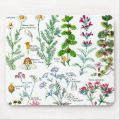 Botanische Illustrationen - Larousse Pflanzen Mousepad (Vorne)