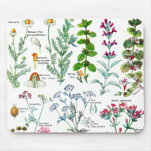 Botanische Illustrationen - Larousse Pflanzen Mousepad (Vorne)