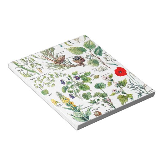 Botanische Illustrationen Notizblock (angewinkelt)