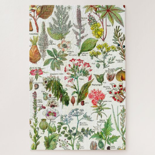 Botanische Illustrationen Puzzle (Vertikal)