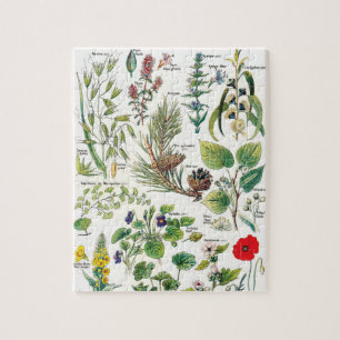 Botanische Illustrationen Puzzle